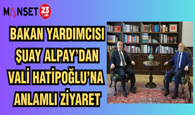 BAKAN YARDIMCISI ŞUAY ALPAY'DAN VALİ NUMAN HATİPOĞLU'NA ANLAMLI ZİYARET