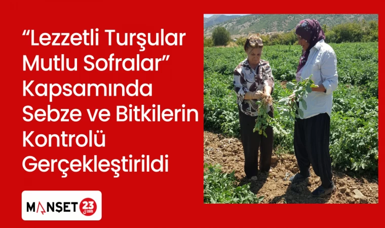 “Lezzetli Turşular Mutlu Sofralar” Kapsamında Sebze ve Bitkilerin Kontrolü Gerçekleştirildi