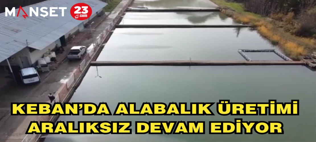 KEBAN’DA ALABALIK ÜRETİMİ ARALIKSIZ DEVAM EDİYOR