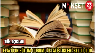 TÜİK AÇIKLADI: ELAZIĞ'IN EĞİTİM DURUMU İSTATİSTİKLERİ BELLİ OLDU