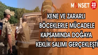 KENE VE ZARARLI BÖCEKLERLE MÜCADELE KAPSAMINDA DOĞAYA KEKLİK SALIMI GERÇEKLEŞTİ
