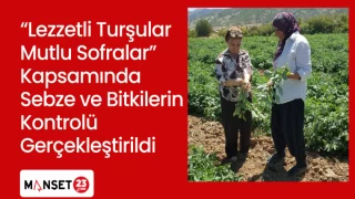 “Lezzetli Turşular Mutlu Sofralar” Kapsamında Sebze ve Bitkilerin Kontrolü Gerçekleştirildi