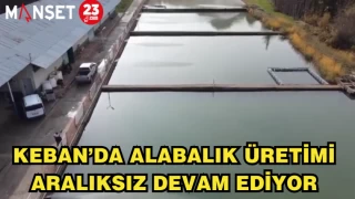 KEBAN’DA ALABALIK ÜRETİMİ ARALIKSIZ DEVAM EDİYOR