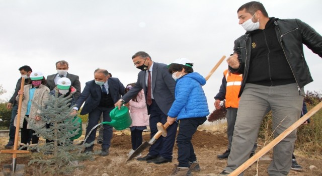 Öğrenciler, 760 bin tohumu toprakla buluşturacak