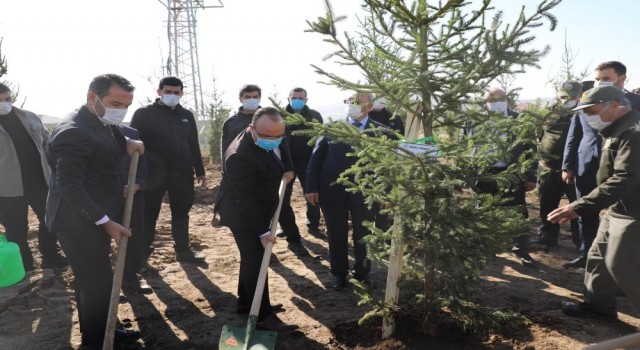 Vali Yırık: Elazığımızın her yerini ağaçlandıracağız