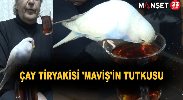 Bu çayın tiryakisi bir başka