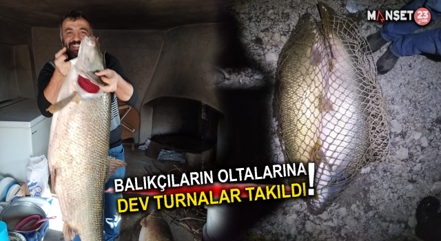 Elazığ’da Balıkçılar Ağa Takılan Dev Turnalar Karşısında Şaşkına Döndü