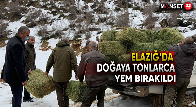 Elazığ’da Yaban Hayatı İçin Doğaya Tonlarca Yem Bırakıldı
