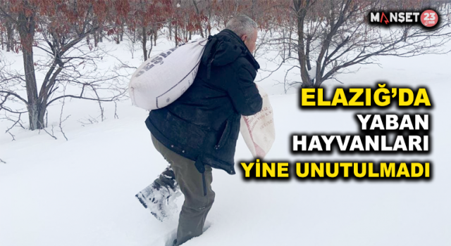 Elazığ'da Yaban Hayvanları İçin Doğaya Yem Bırakıldı