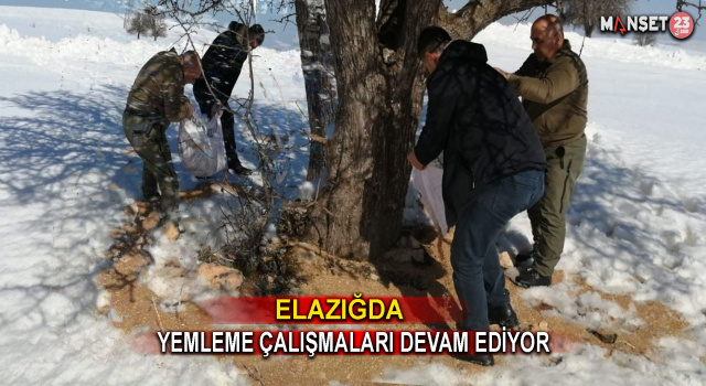 Elazığ’da Yemleme Çalışmaları Sürüyor