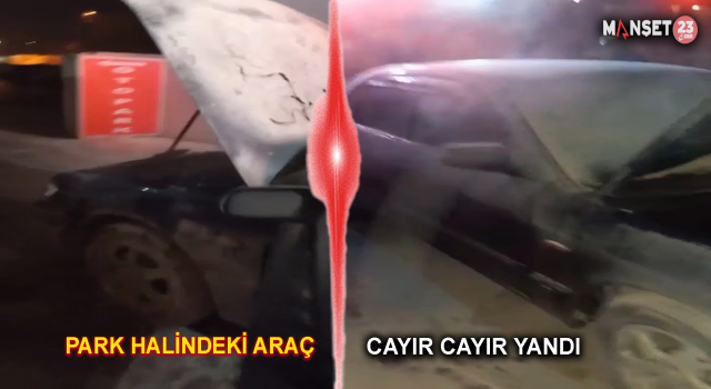 Park Halindeyken Alev Alan Araç Kullanılamaz Hale Geldi