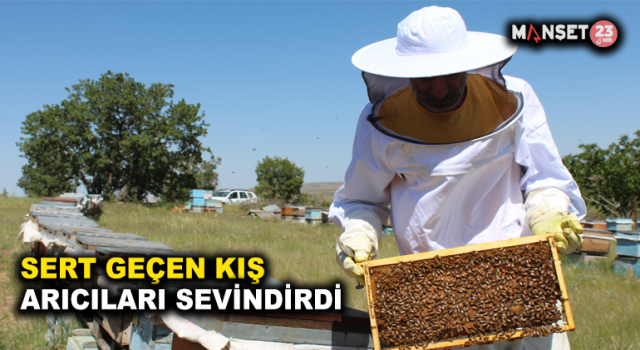Sert Geçen Kış Ve Yaşanan Kar Yağışı Arıcıları Sevindirdi