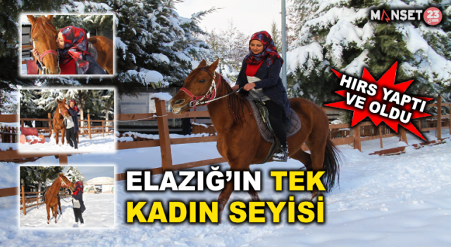 'Yapamazsın' Dediler Hırs Yaptı Elazığ’ın Tek Kadın Seyisi Oldu
