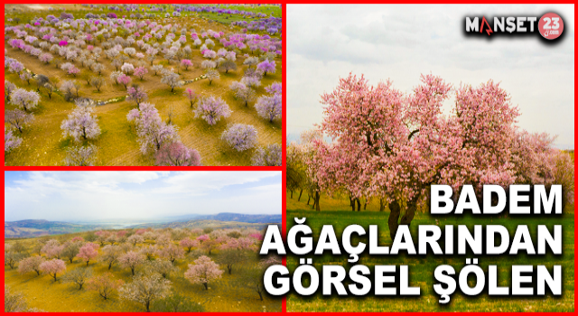 Badem Ağaçları Çiçek Açtı, Ortaya Kartpostallık Görüntüler Çıktı