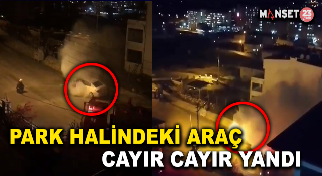 Park Halindeki Araç Alev Topuna Döndü