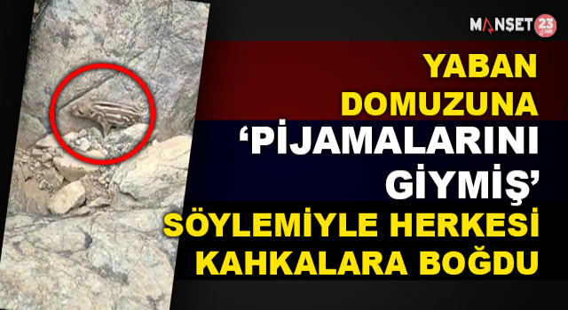 Yaban Domuzunu Gördü 'Pijamalarını Giymiş' Söylemi İle Kahkahaya Boğdu