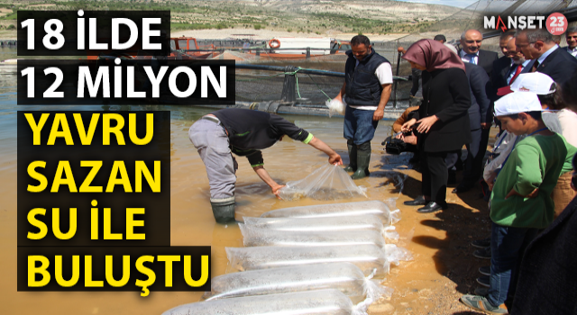 18 İlde 12 Milyon Yavru Sazan Suyla Buluştu