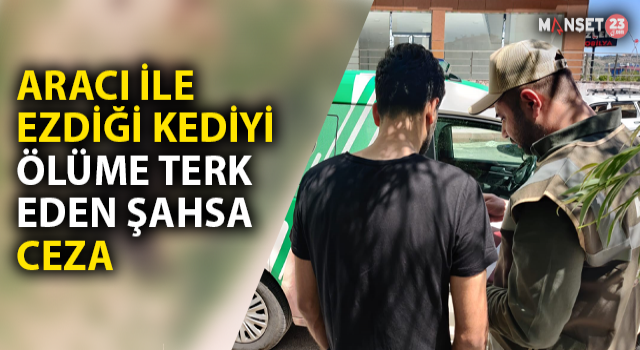 Aracıyla Ezdiği Kediyi Ölüme Terk Eden Şahsa Ceza