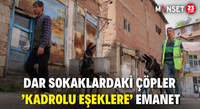 Dar Sokaklardaki Çöpler ’Kadrolu Eşeklere’ Emanet
