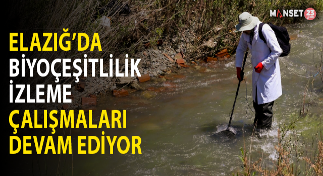 Elazığ'da Biyoçeşitlilik İzleme Çalışmaları Sürüyor
