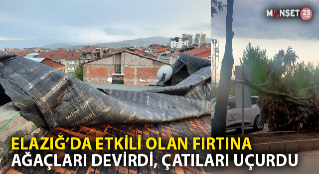 Elazığ’da Fırtına Sonrası Çatılar Uçtu, Ağaçlar Devrildi