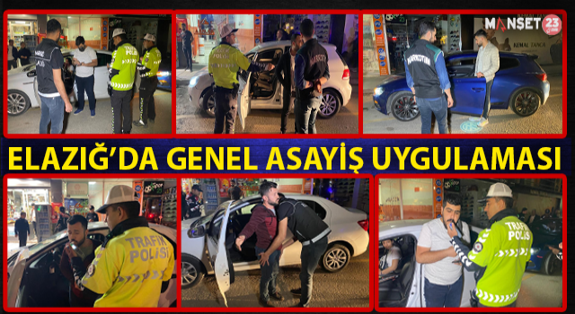 Elazığ'da Genel Asayiş Uygulaması Yapıldı