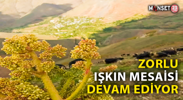 Elazığ’da Zorlu Işkın Mesaisi Sürüyor