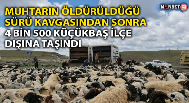 Muhtarın Öldürüldüğü Sürü Kavgası Sonrası 4 Bin 500 Küçükbaş İlçe Dışına Taşındı