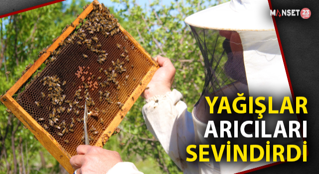 Yağışlar Arıcıları Da Sevindirdi, Rekoltede Yükseliş Bekleniyor