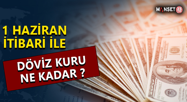 1 Haziran İtibari İle Döviz Kuru