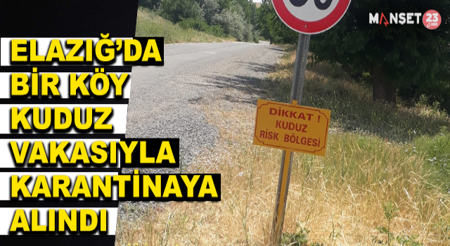 Elazığ’da Bir Köy Kuduz Vakasıyla Karantinaya Alındı