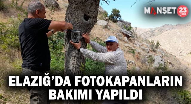 Elazığ’da Fotokapanların Bakımı Yapıldı