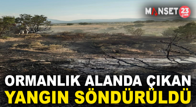 Elazığ'da Ormanlık Alanda Çıkan Yangın Söndürüldü
