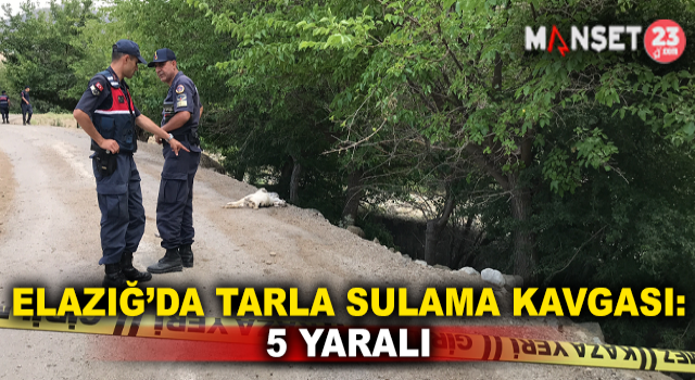 Elazığ'da Tarla Sulama Kavgası: 5 Yaralı