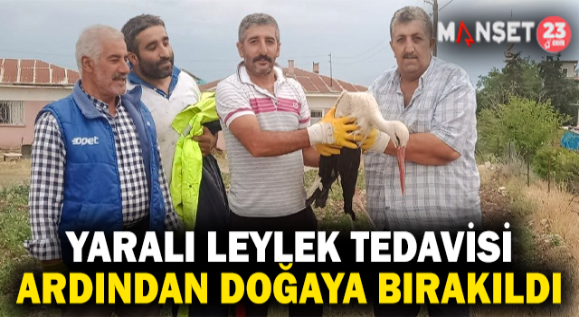 Elazığ’da Tedavisi Yapılan Leylek, Doğaya Bırakıldı
