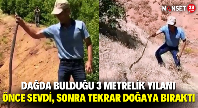Dağda Bulduğu 3 Metrelik Yılanı Önce Sevdi, Sonra Tekrar Doğaya Bıraktı