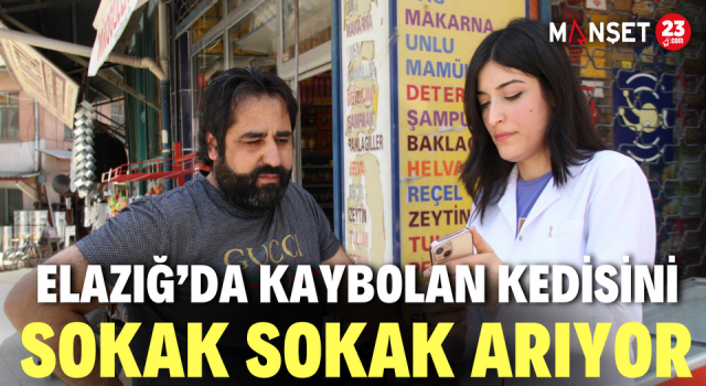 Elazığ’da Kaybolan Kedisini Sokak Sokak Arıyor