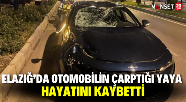 Elazığ’da Otomobilin Çarptığı Yaya Hayatını Kaybetti