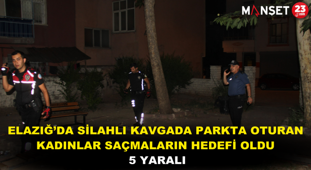 Elazığ’da Silahlı Kavgada Parkta Oturan Kadınlar Saçmaların Hedefi Oldu: 5 Yaralı