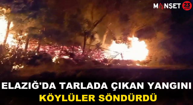 Elazığ'da Tarlada Çıkan Yangını Köylüler Söndürdü