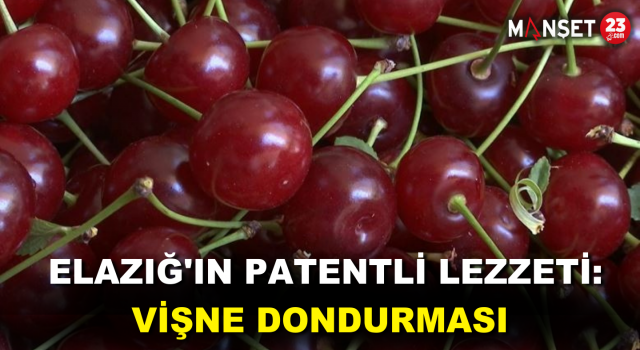 Elazığ'ın Patentli Lezzeti: Vişne Dondurması
