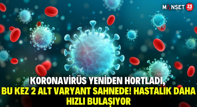 Koronavirüs Yeniden Hortladı, Bu Kez 2 Alt Varyant Sahnede! Hastalık Daha Hızlı Bulaşıyor