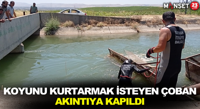 Koyunu Kurtarmak İsteyen Çoban Akıntıya Kapıldı