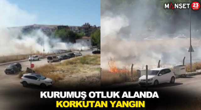 Kurumuş Otluk Alanda Korkutan Yangın