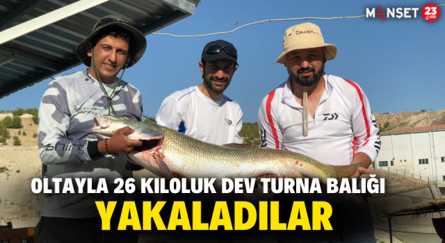 Oltayla 26 Kiloluk Dev Turna Balığı Yakaladılar