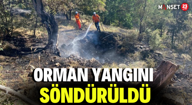 Orman Yangını Söndürüldü