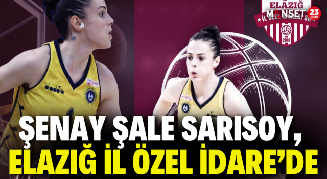 Şenay Şale Sarısoy, Elazığ İl Özel İdare’de