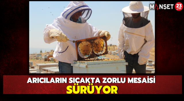 Arıcıların Sıcakta Zorlu Mesaisi Sürüyor