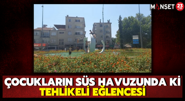 Çocukların Süs Havuzunda ki Tehlikeli Eğlencesi