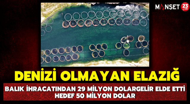 Denizi Olmayan Elazığ Balık İhracatından 29 Milyon Dolar Gelir Elde Etti, Hedef 50 Milyon Dolar